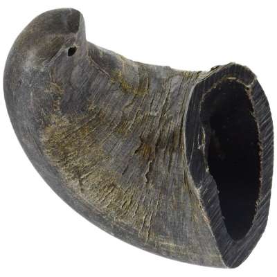 Water Buffalo Horn For Dog Chew